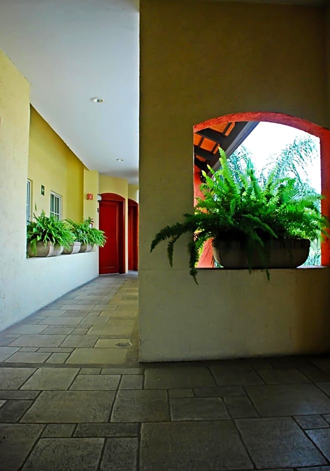 Aurea Hotel and Suites