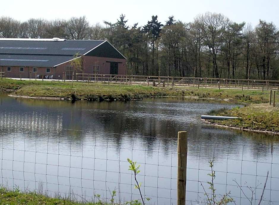 Horsetellerie Rheezerveen