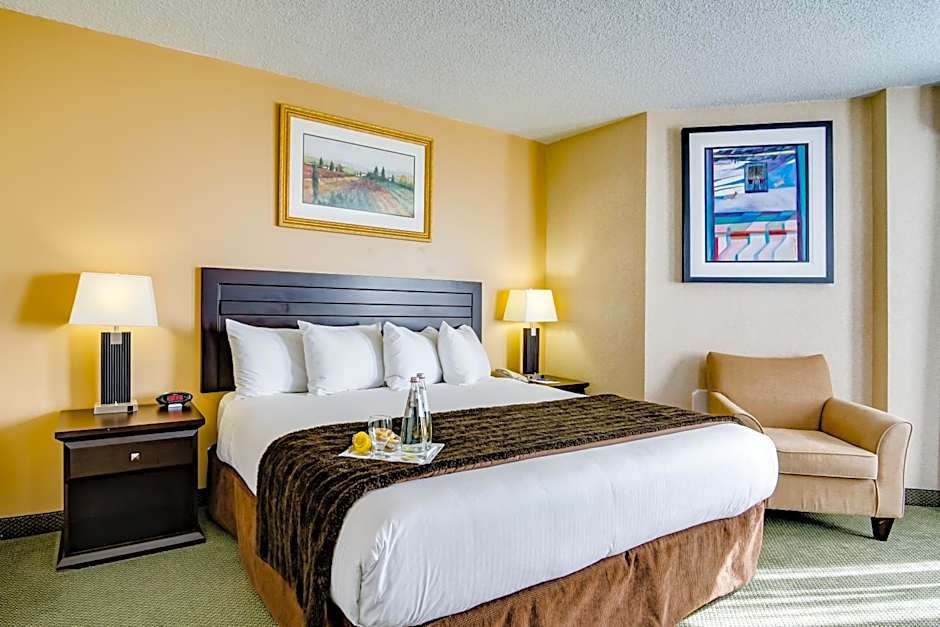 Sawridge Inn and Conference Centre Edmonton South