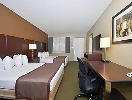 1 Bedroom Suite