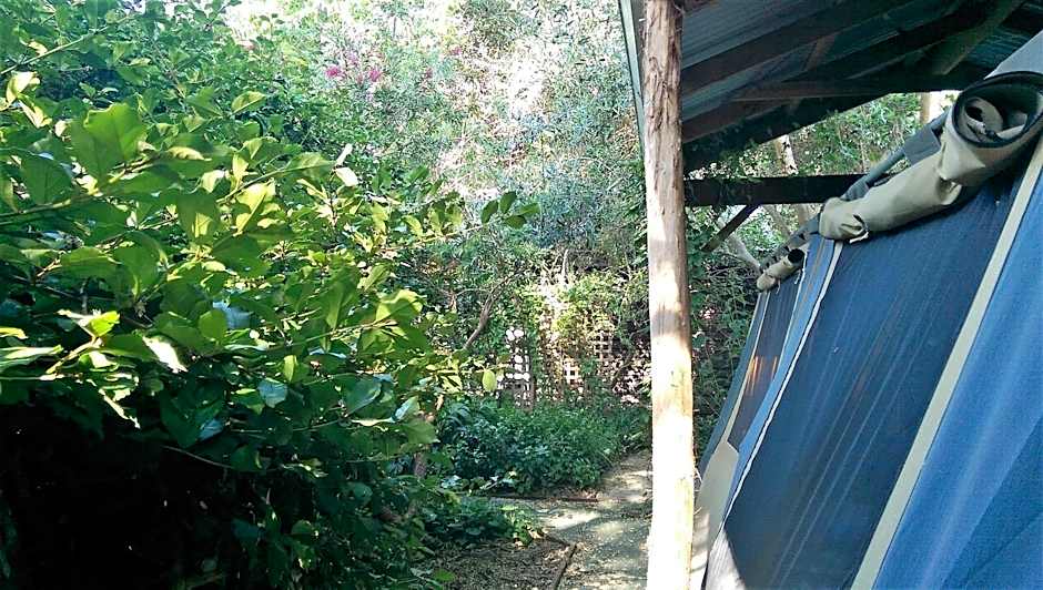 Black Cockatoo Lodge