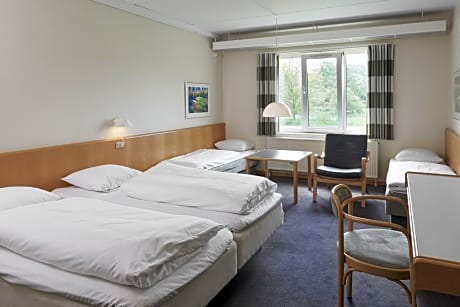 Triple Room (2 Twin Beds and 1 Double Sofa Bed)