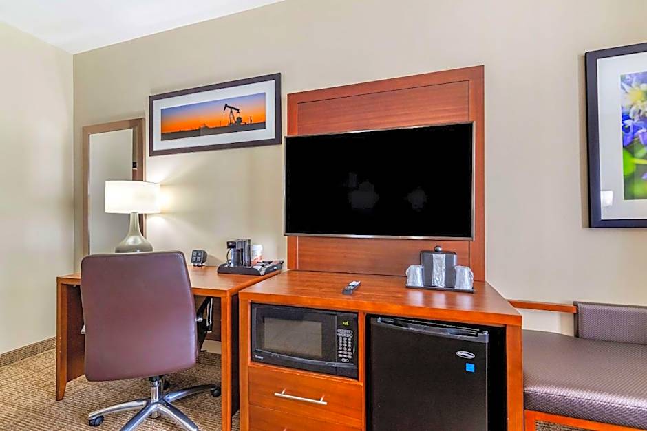 Comfort Suites Buda - Austin South