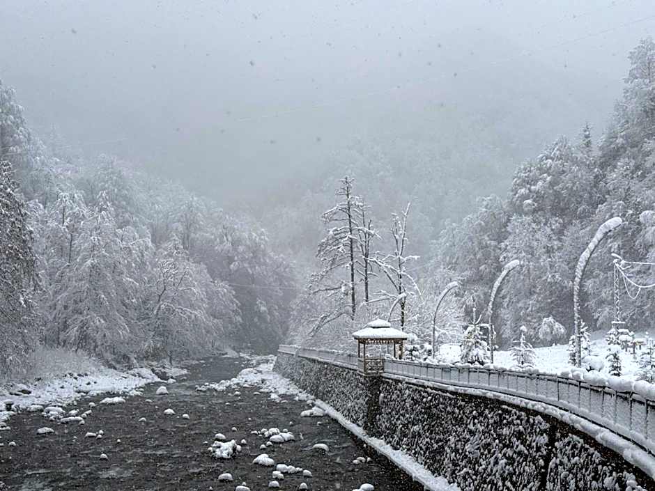 Danzi camping tiny house