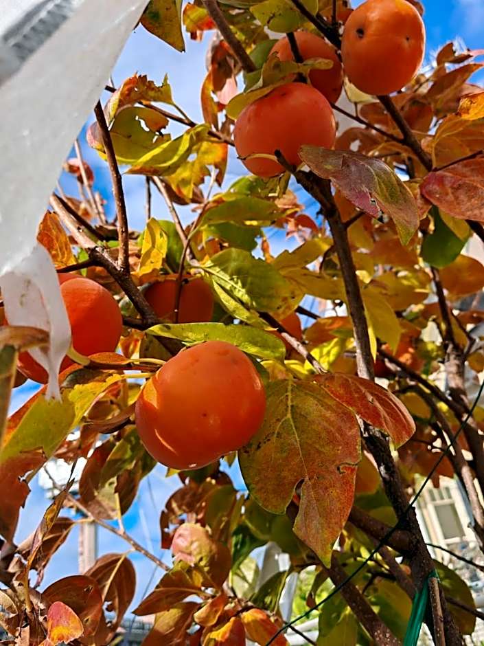 The Bank Guesthouse Glen Innes