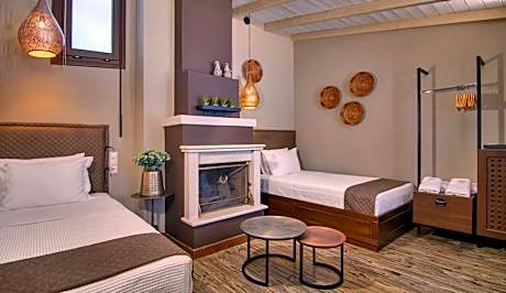 Twin Room with Fireplace