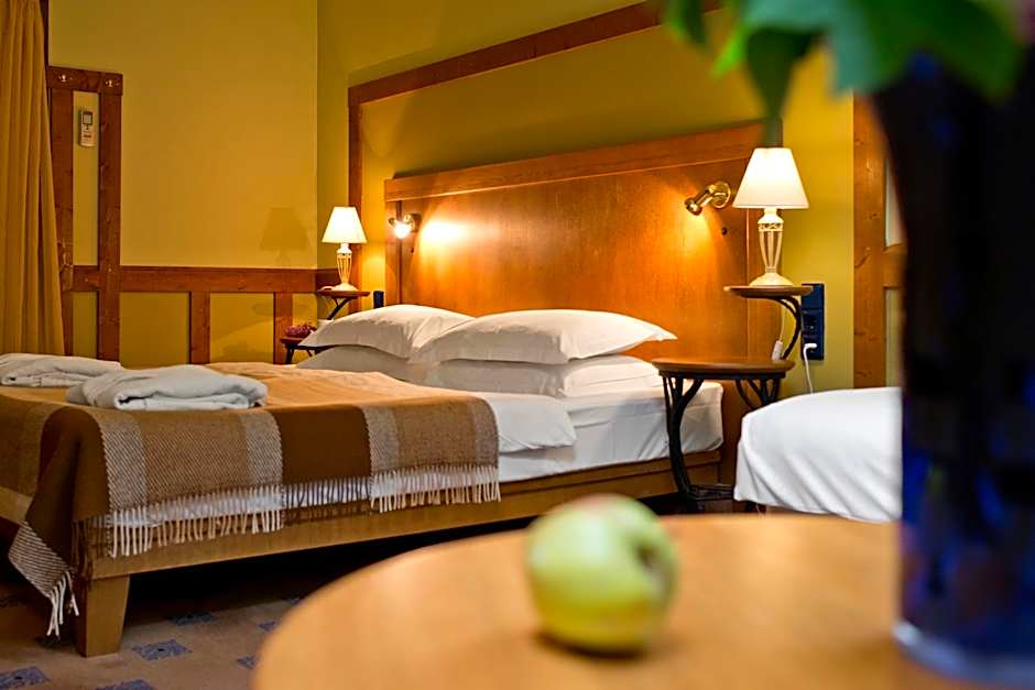 BEST BALTIC Hotel Druskininkai Central