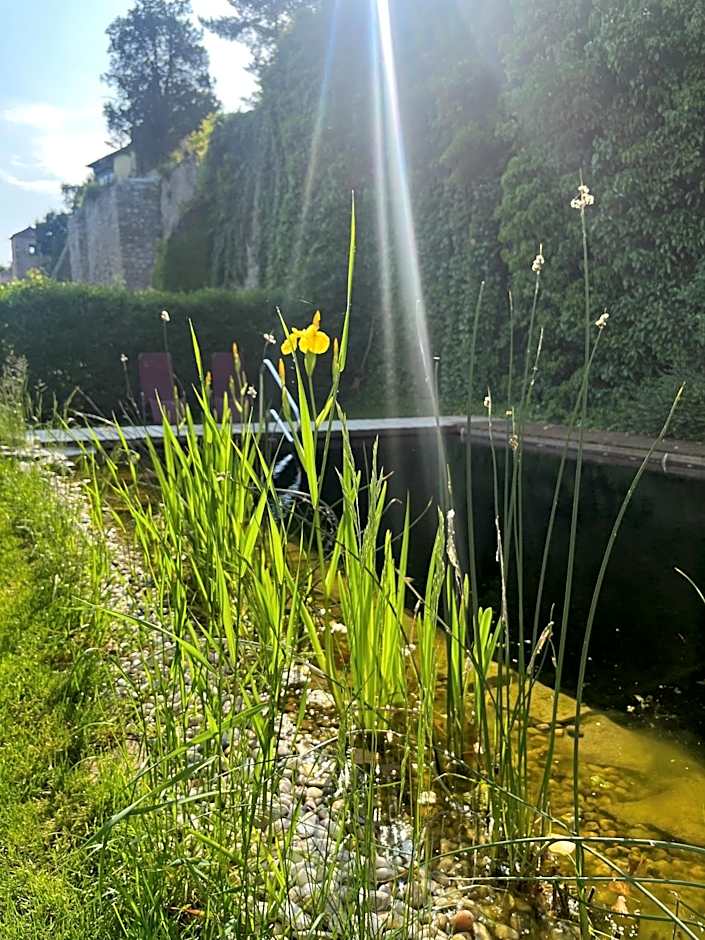 Gasthof zum Goldenen Anker