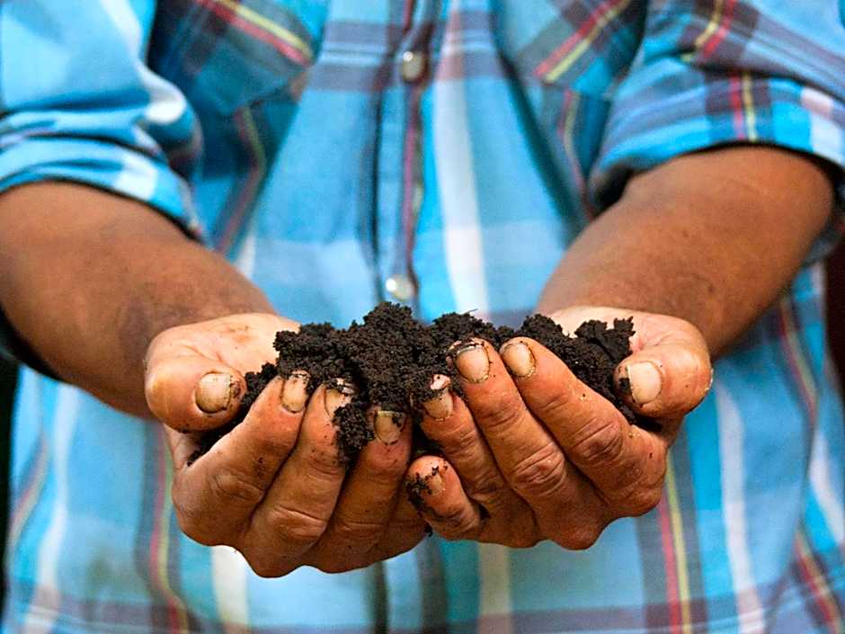 Finca Luna Nueva Lodge