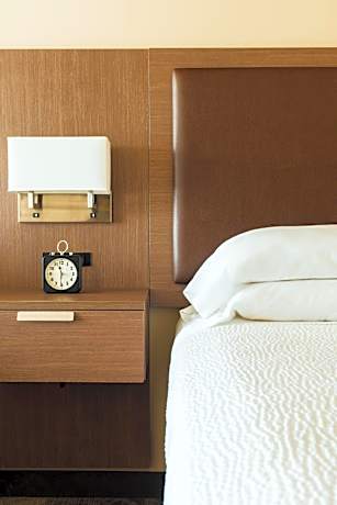 King Room with Roll-In Shower - Disability Access