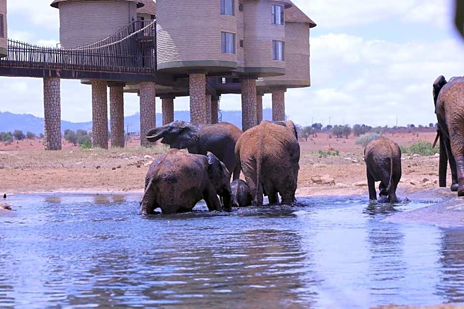 Salt Lick Safari Lodge