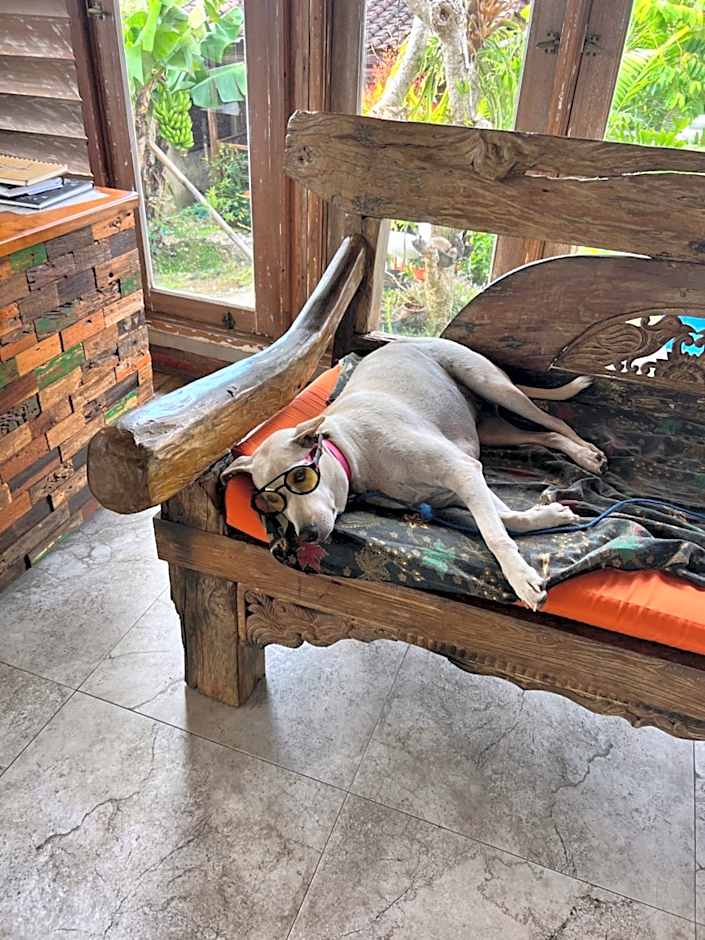 Pinokkio Bed and Breakfast