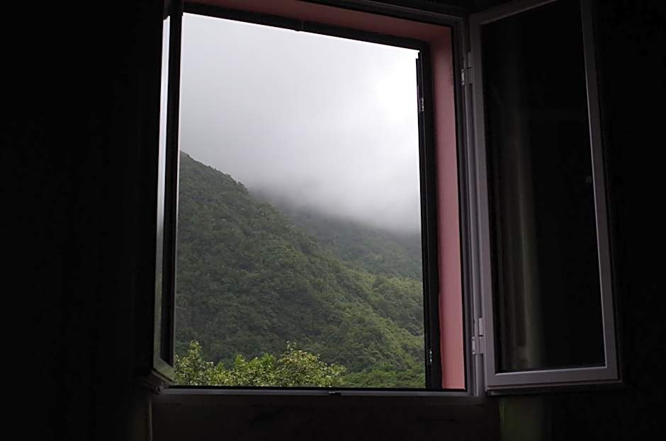 Casinhas da Laurissilva