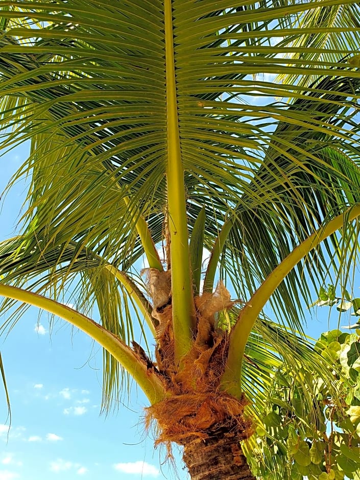 Bayside Inn Key Largo