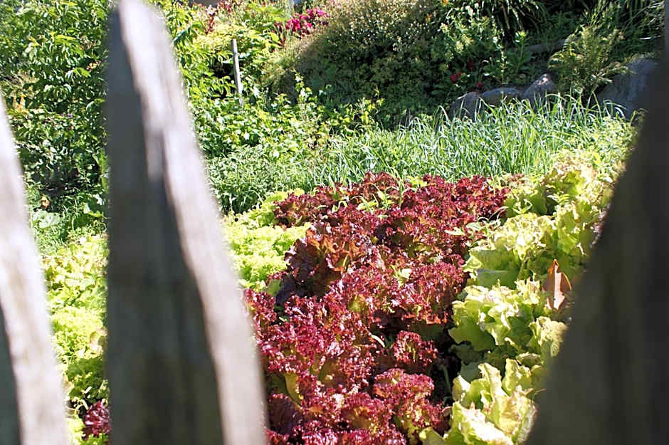 Marini's giardino Hotel