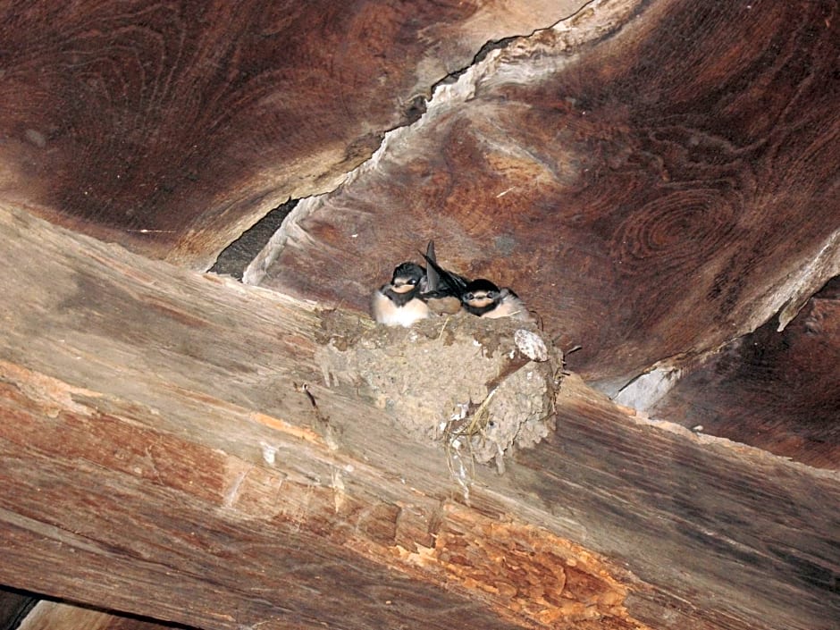 Charming B&B and Osteria La Crisalide