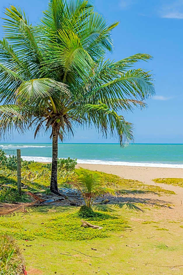 IT84 Wonderful 4-Suite Apartment, Right on the Beach - Itacimirim