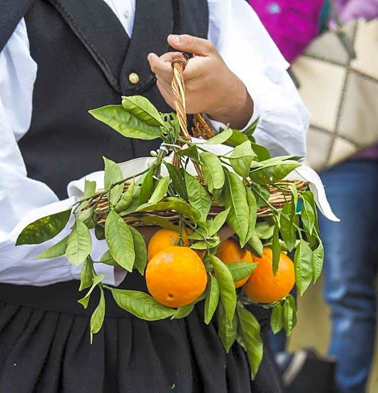 4 Mori Family Village - Villaggio per Famiglie