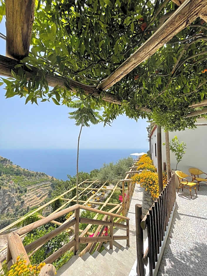 Fico D'India Relais