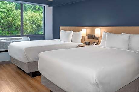 Two Double Beds (with sofa bed)