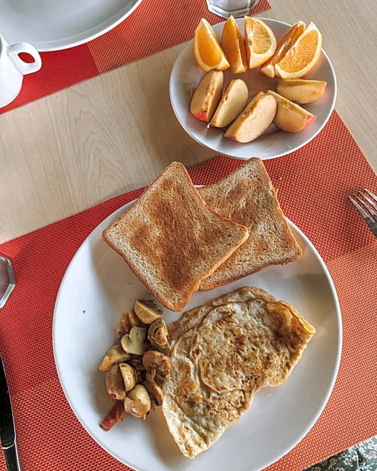 Turtle Maldives - Your Gateway to the Beach & Marine Adventures Await!