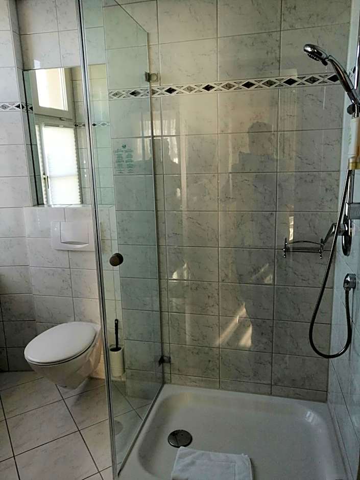 Flair Hotel zum Schiff