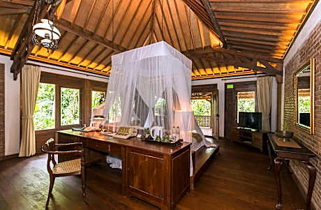 Garden Plunge Pool Villa