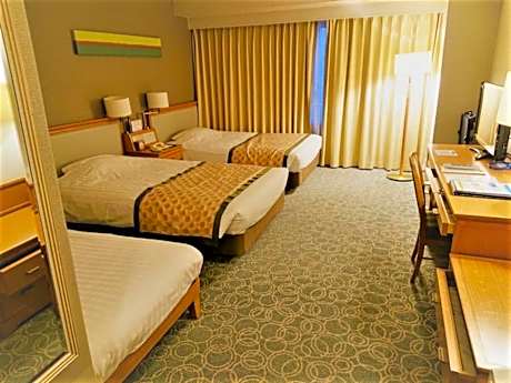 Deluxe Twin Room - Non-Smoking