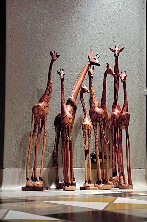 Tingala Lodge - Bed in the Bush