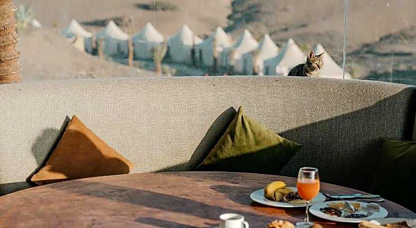 The White Camel Camp - Agafay Desert Activities