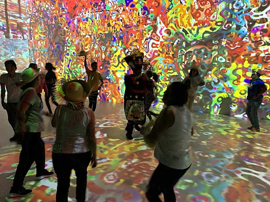 Hotel La Casa de los Árboles Immersive Experience