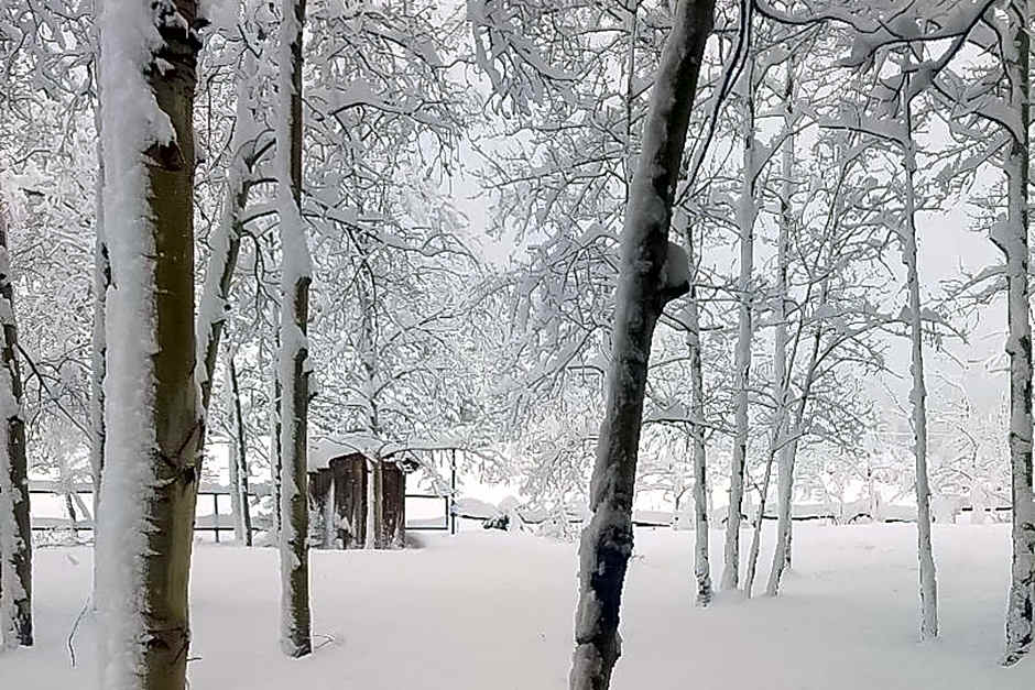 Happy Place Cabin