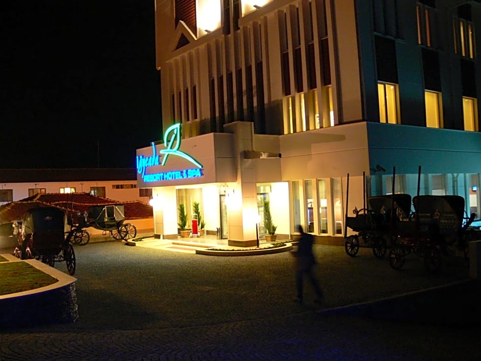 İğneada Resort Hotel & SPA