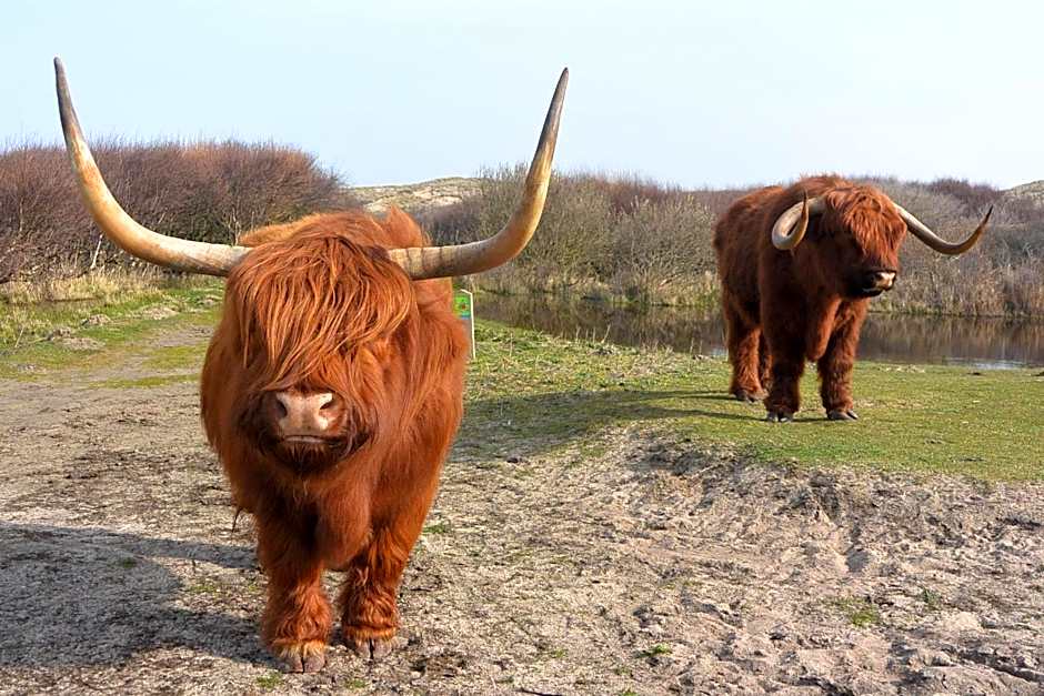 Strandhotel Golfzang