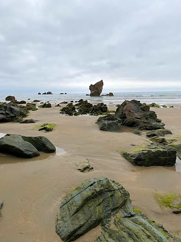 Hotel Rural Playa de Aguilar