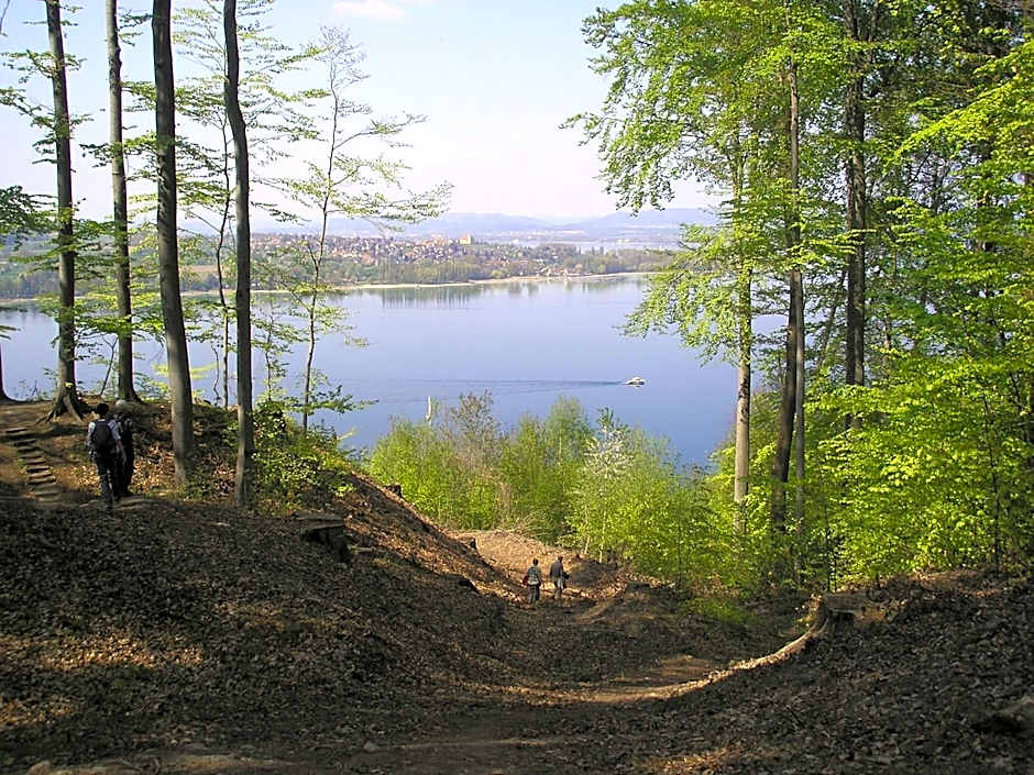 Historisches Gasthaus Hotel Hirschen Horn