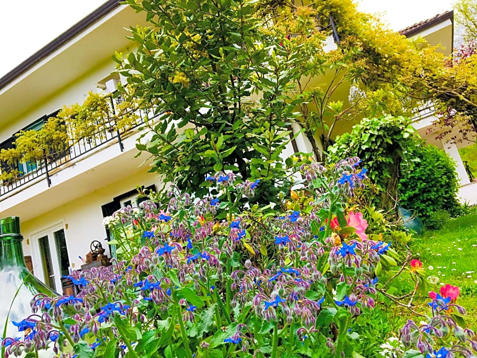 B&B La Libellula – Turin, NY