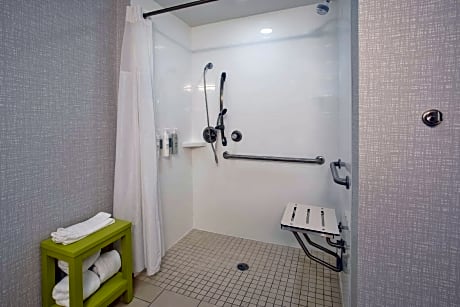 1 King Mobility Hearing Accessible Roll In Shower Studio Non-Smoking