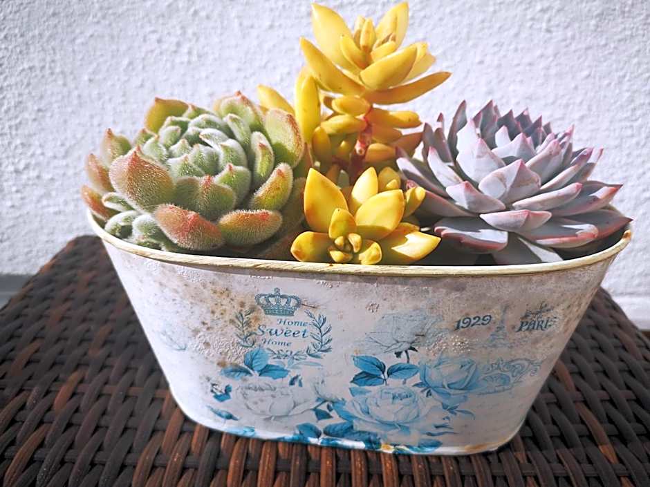 Family Surf Home - Hostel