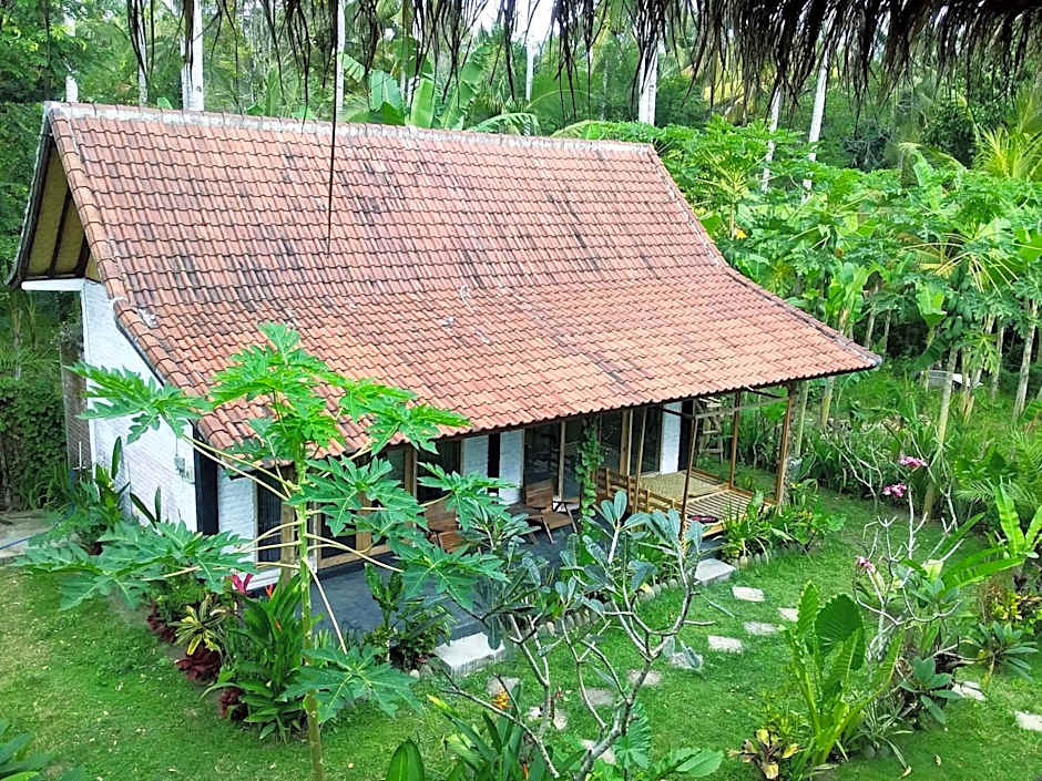 Jungle House - surf & stay