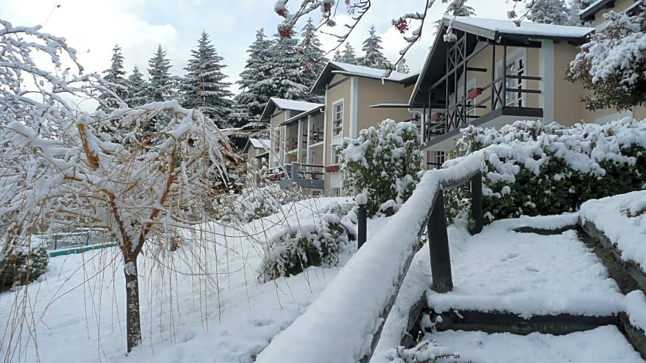 Aldea Andina Hotel&Spa