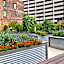 Hotel Indigo Detroit Downtown, an IHG Hotel By IHG