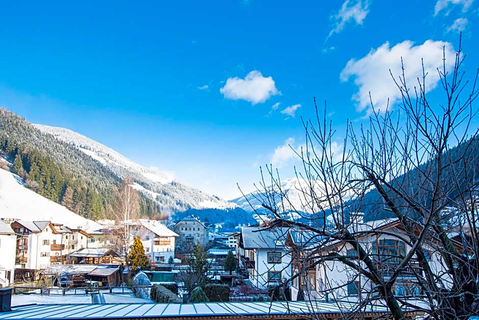 Hotel Gasthof Höllriegl