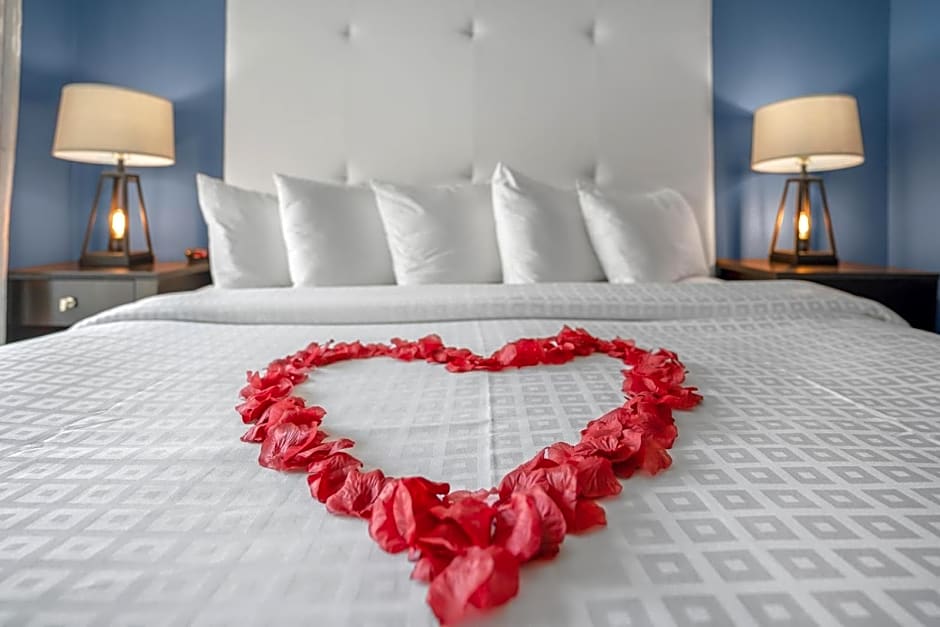Avalon Hotel Downtown St. Petersburg