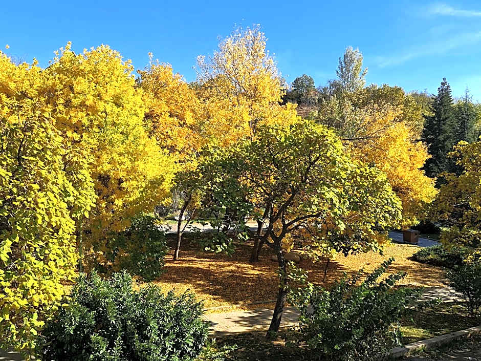 Парк Апарт-Хотел Виктория 1