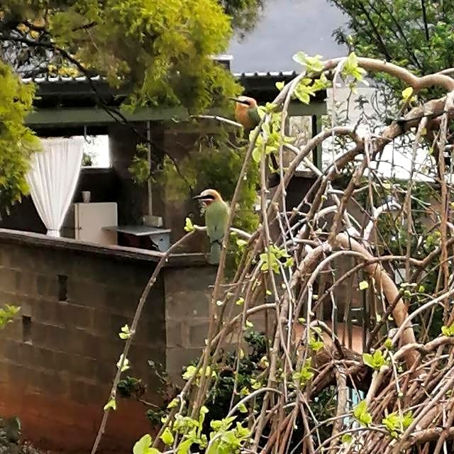 Bell Park Self or Semi Catering