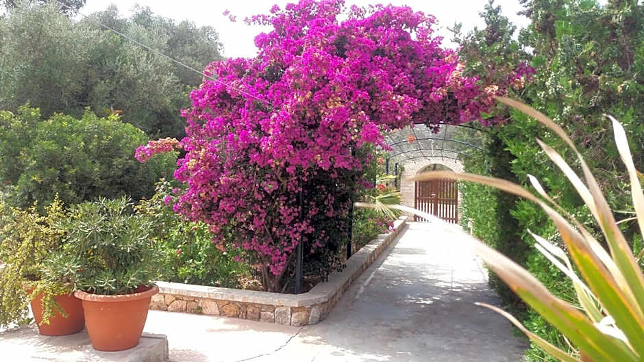 Villa Primera 