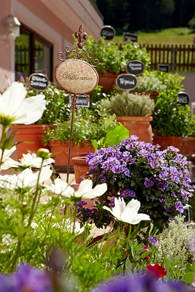 Hotel Bergland Superior