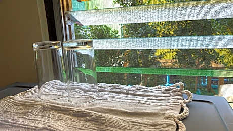 Standard Twin Room with Fan