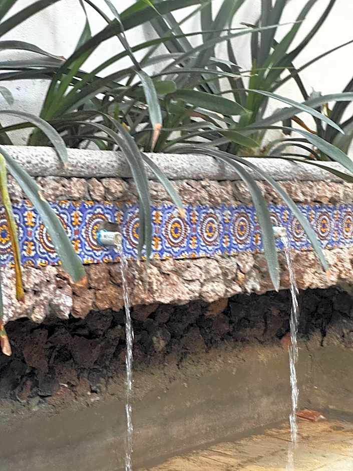 Magnolias Jardin & Boutique Suites